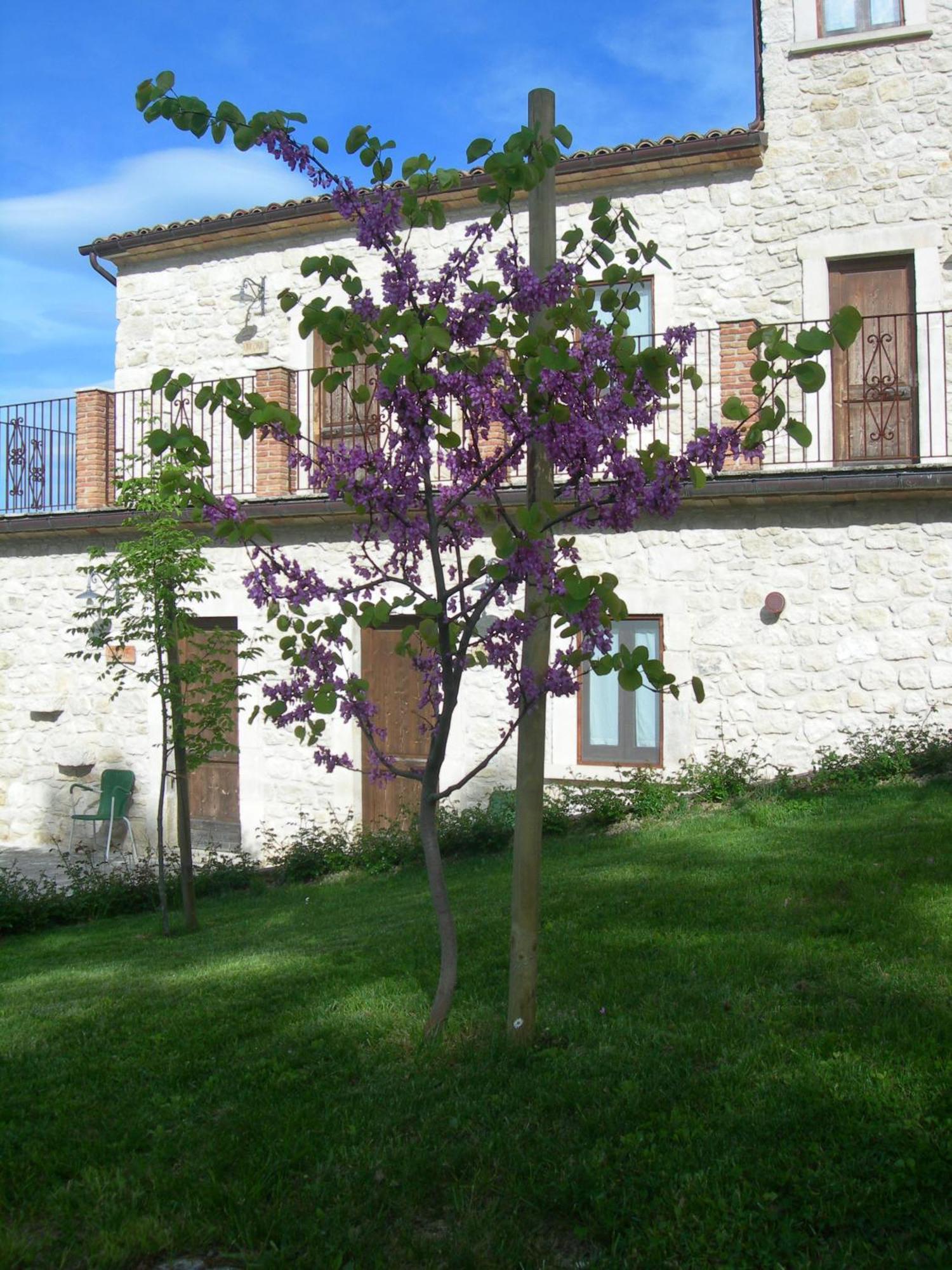 Vila Agriturismo Borgo San Martino Abbateggio Exteriér fotografie