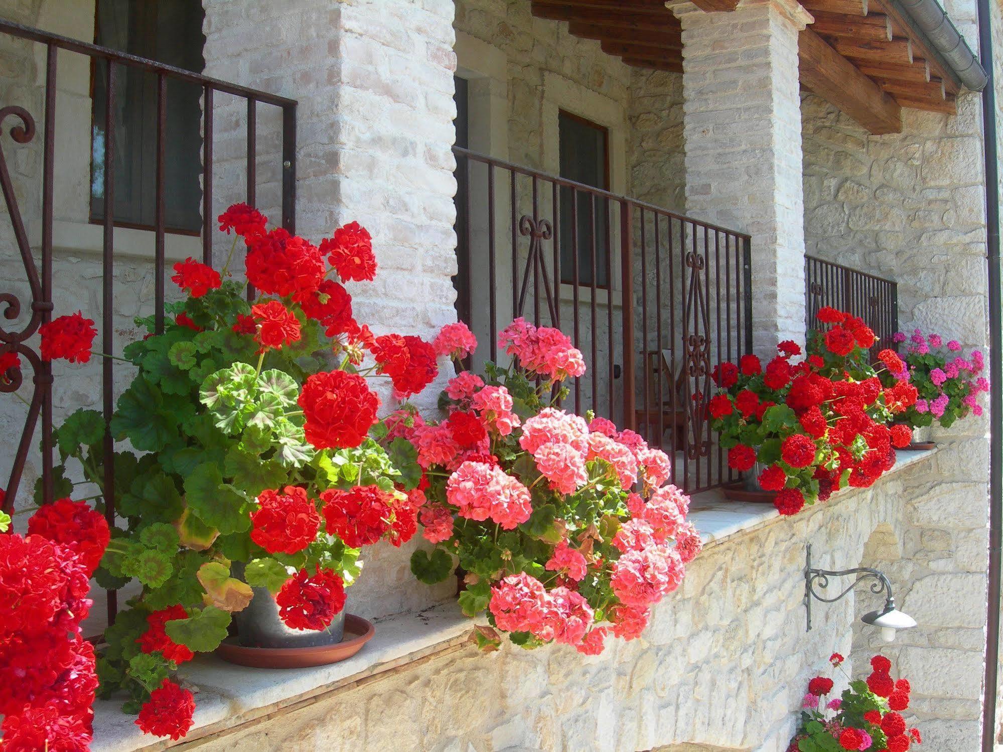 Vila Agriturismo Borgo San Martino Abbateggio Exteriér fotografie